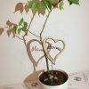 Blumenstecker Muttertag für Topfpflanzen Design Herz aus Holz Buche
